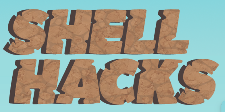 Shellhacks 2024